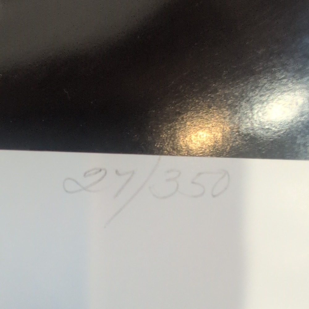 Sonia Torres Arabian Right Horse Artist's Print Torres Signed Numbered Limit Ed‎ - Picture 5 of 7